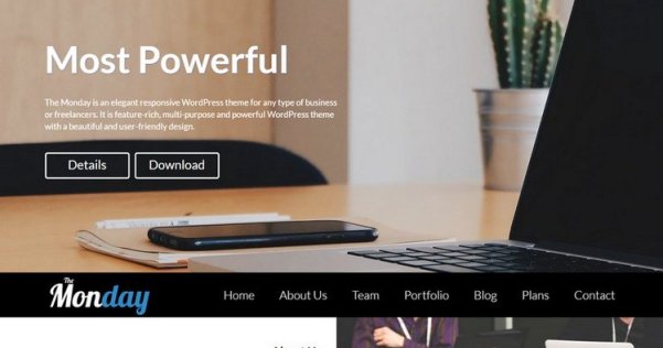 WordPress 免费单页视差企业主题 The Monday