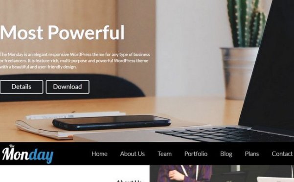 WordPress 免费单页视差企业主题 The Monday