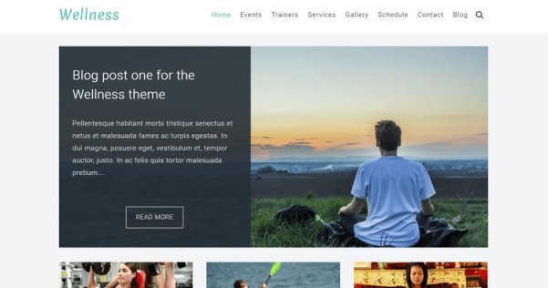WordPress 免费多用途企业主题 Wellness