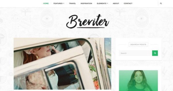 WordPress 免费博客主题 Breviter