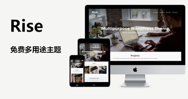 WordPress 免费多用途主题 Rise