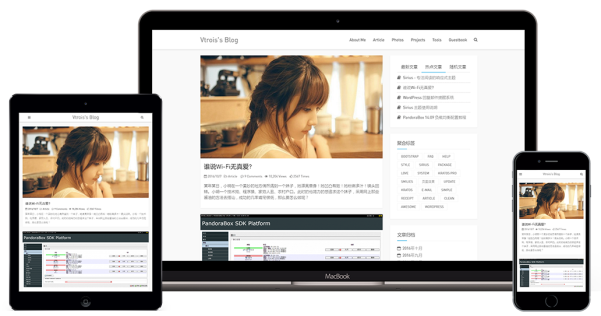 WordPress 极简主义的响应式博客主题 Snape