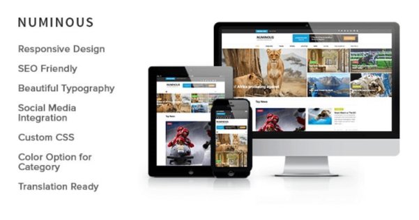 WordPress 免费新闻杂志主题 Numinous