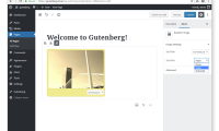 WordPress Gutenberg Block API：扩展块