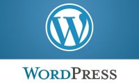 WordPress 5.0.2 提升Gutenberg编辑器性能
