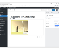 WordPress Gutenberg Block API：扩展块