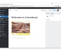 WordPress Gutenberg Block API：创建自定义块