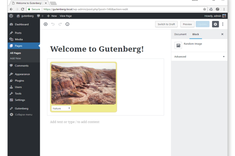 WordPress Gutenberg Block API：创建自定义块