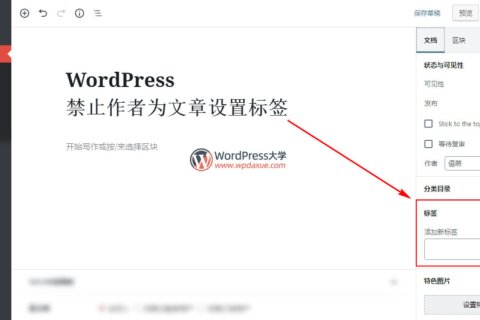 WordPress 禁止作者为文章设置标签