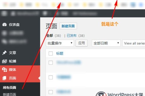 WordPress获取指定文章类型的文章数量