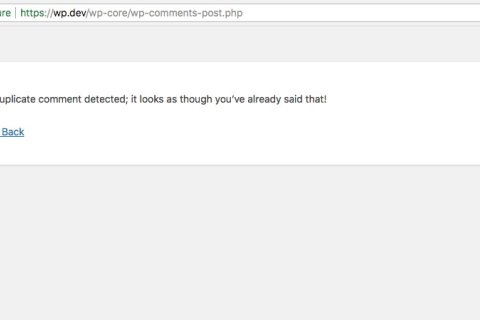 WordPress 5.3 修改了wp_die()的HTML输出