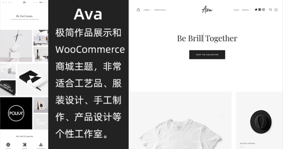 WordPress极简型作品展示和商城主题 Ava
