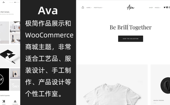 WordPress极简型作品展示和商城主题 Ava