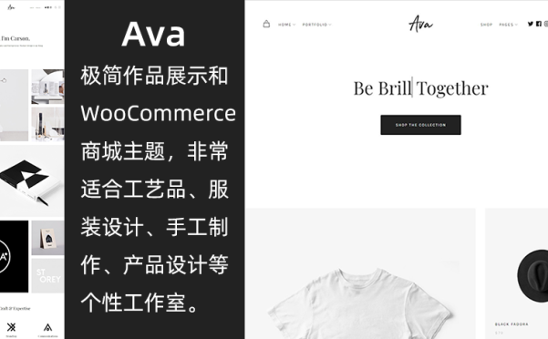 WordPress极简型作品展示和商城主题 Ava