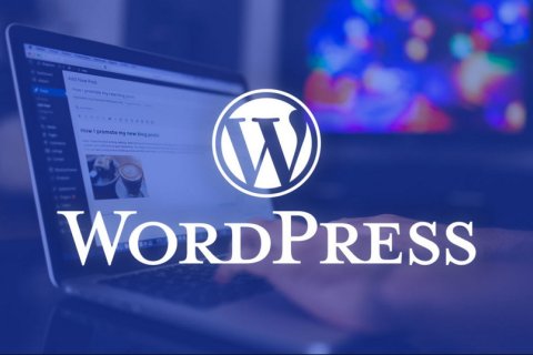 由一次性或周期性付款谈谈WordPress国内生态