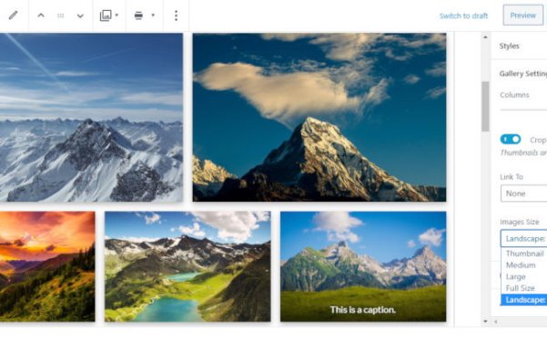 Gutenberg 7.2 新增多按钮块和画廊图像尺寸选项