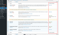 WordPress 5.5或将带来插件和主题自动更新功能