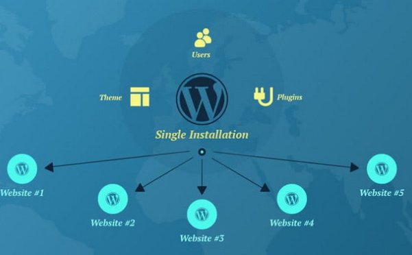 如何（以及何时）将WordPress多站点用于客户项目