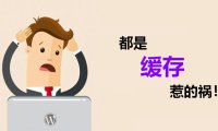 WordPress网站新文章/修改内容不显示？都是缓存惹的祸！