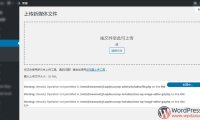 WSL修改网站目录磁盘的用户权限