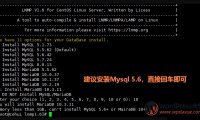 【军哥LNMP】WSL使用军哥的安装包配置LNMP环境