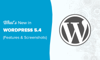 WordPress 5.4 正式版发布，图文演示新功能