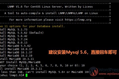 【军哥LNMP】WSL使用军哥的安装包配置LNMP环境