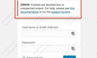 解决WordPress无法登录 ERROR: cookies are blocked due to unexpected output