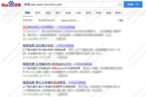 WordPress 屏蔽恶意搜索，防止被搜索引擎收录恶意搜索结果