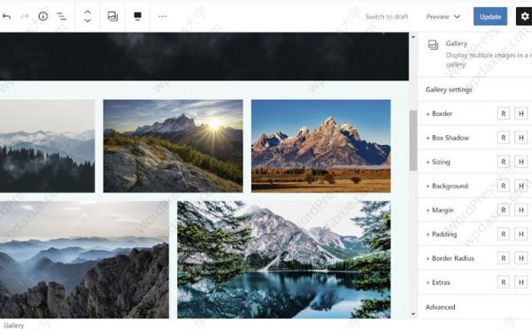 WordPress 古腾堡区块设计选项增强插件  EditorPlus
