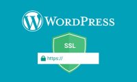 什么是SSL？为什么要为WordPress网站使用SSL？