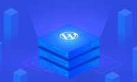 6家适合外贸网站的WordPress托管型主机商