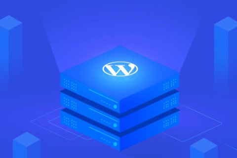 6家适合外贸网站的WordPress托管型主机商
