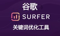 WordPress 外贸建站之谷歌关键词优化工具 keyword Surfer