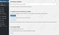 WordPress 5.6 为核心主要版本引入自动更新选项