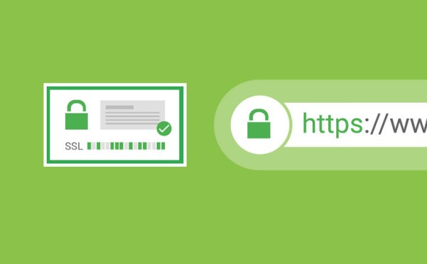 您应该为网站选择哪种类型的 SSL 证书？