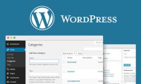 如何通过WordPress文章分类和标签改进网站SEO