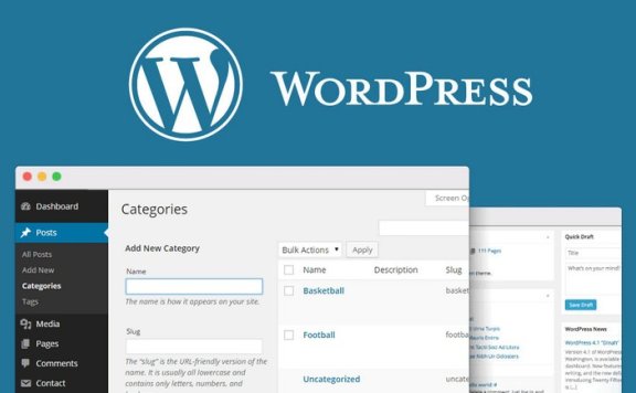 如何通过WordPress文章分类和标签改进网站SEO