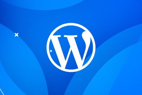 WordPress函数：wp_list_categories（分类列表）