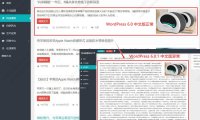 WordPress 6.0.1 简体中文版导致摘要截取失效的解决办法