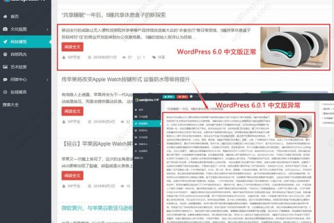 WordPress 6.0.1 简体中文版导致摘要截取失效的解决办法