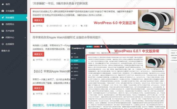WordPress 6.0.1 简体中文版导致摘要截取失效的解决办法