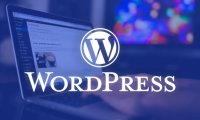 WordPress 作者存档页面显示自定义文章类型的内容