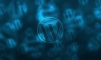WordPress 6.1 新增必填字段相关函数和钩子