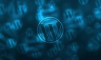 WordPress 禁用密码找回邮件或修改该邮件内容