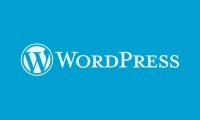 WordPress 禁用自定义文章类型的可视化编辑器