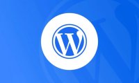 移除 WordPress 菜单输出的多余的CSS选择器id或class