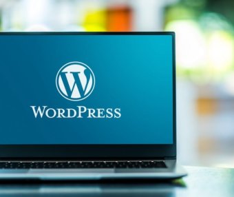 WordPress 插件开发教程 Part 2 – WordPress 插件基础