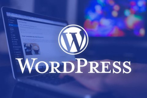WordPress 6.1 引入“Update URI”主题标头，可自定义主题更新网址